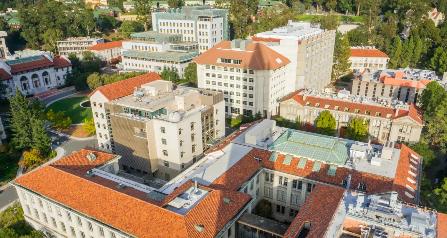UC-Berkeley-Undergraduate