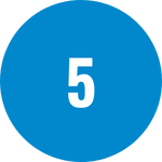 Step 5 | Solomon Research Scholars Program