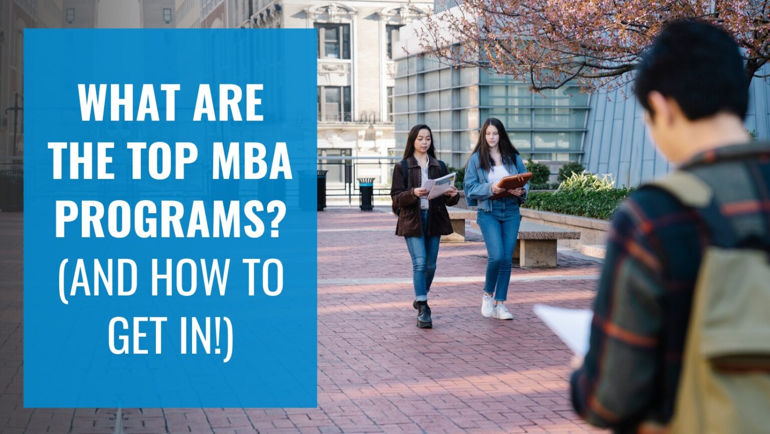 What are the top MBA Programs